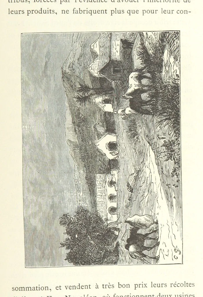 An illustration from Kabyles et Kroumirs ... Dessins de MM. Andrieux, Duhousset, C. Gosselin, II. Vogel, d'après le croquis de l'auteur. Gravure de F. Méaulle, 1882, leaf 221