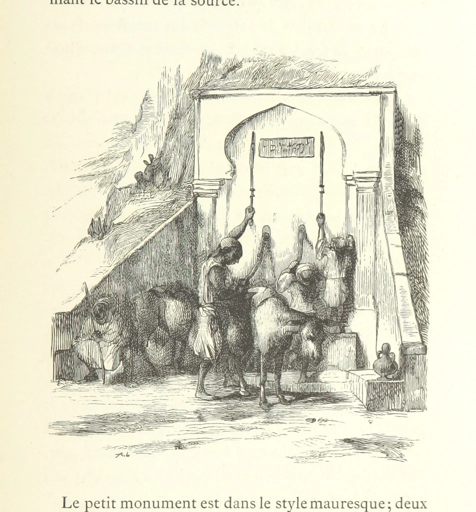 An illustration from Kabyles et Kroumirs ... Dessins de MM. Andrieux, Duhousset, C. Gosselin, II. Vogel, d'après le croquis de l'auteur. Gravure de F. Méaulle, 1882, leaf 235