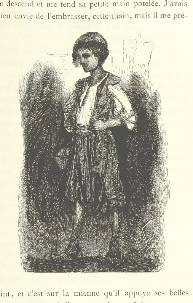 An illustration from Kabyles et Kroumirs ... Dessins de MM. Andrieux, Duhousset, C. Gosselin, II. Vogel, d'après le croquis de l'auteur. Gravure de F. Méaulle, 1882, leaf 263