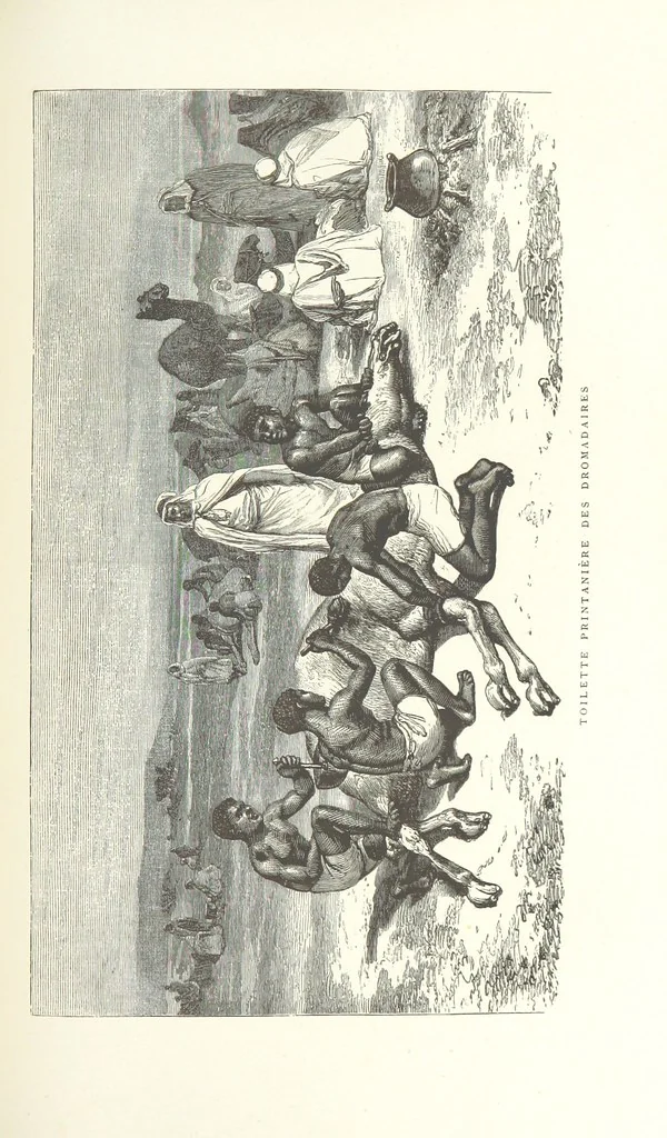 An illustration from Kabyles et Kroumirs ... Dessins de MM. Andrieux, Duhousset, C. Gosselin, II. Vogel, d'après le croquis de l'auteur. Gravure de F. Méaulle, 1882, leaf 273