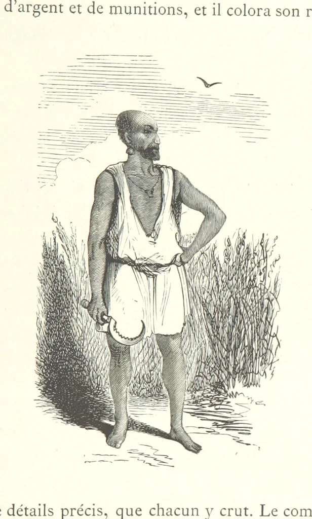 An illustration from Kabyles et Kroumirs ... Dessins de MM. Andrieux, Duhousset, C. Gosselin, II. Vogel, d'après le croquis de l'auteur. Gravure de F. Méaulle, 1882, leaf 369