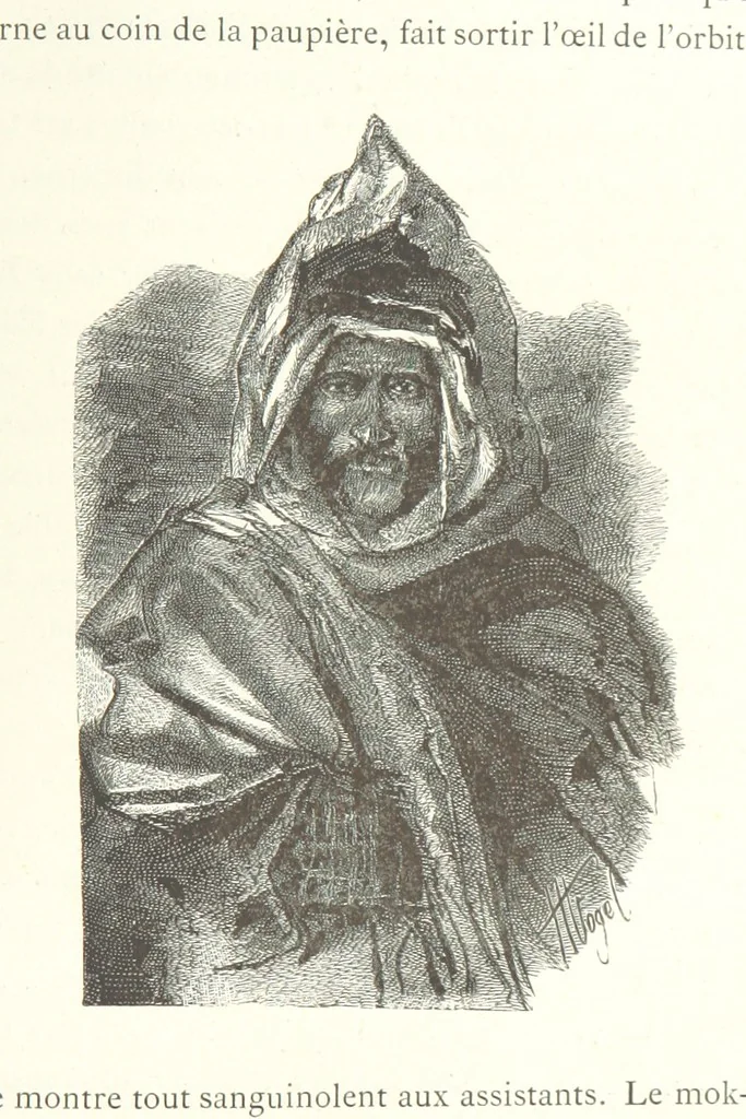 An illustration from Kabyles et Kroumirs ... Dessins de MM. Andrieux, Duhousset, C. Gosselin, II. Vogel, d'après le croquis de l'auteur. Gravure de F. Méaulle, 1882, leaf 85