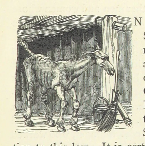 An illustration from Christmas Stories. Blade-O'-Grass, Golden Grain, and Bread and Cheese and Kisses, 1874, leaf 9