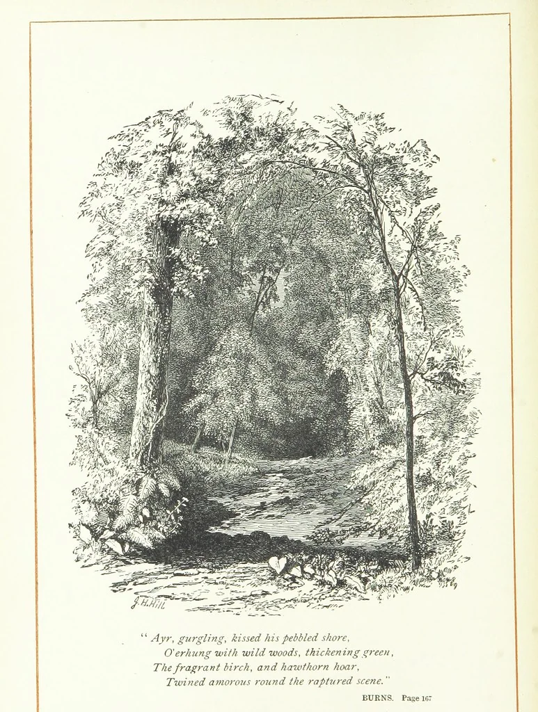 An illustration from With the Poets. A selection of English Poetry, 1883, leaf 228