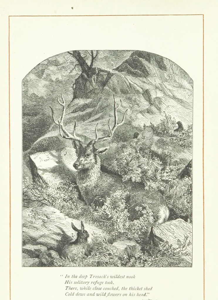 An illustration from With the Poets. A selection of English Poetry, 1883, leaf 8