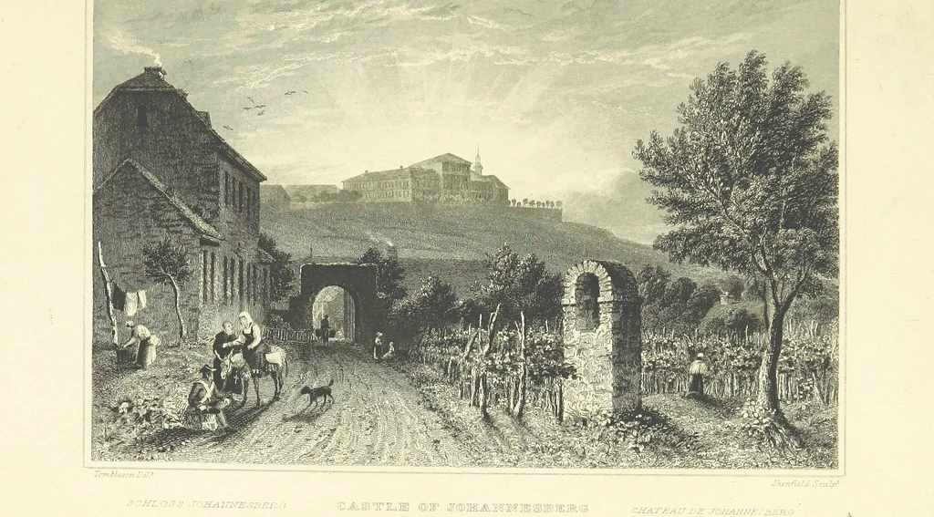 An illustration from Tombleson's Views of the Rhine. Edited by W. G. Fearnside. [With plates, 1832, leaf 291