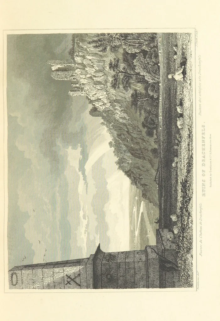 An illustration from Tombleson's Views of the Rhine. Edited by W. G. Fearnside. [With plates, 1832, leaf 77