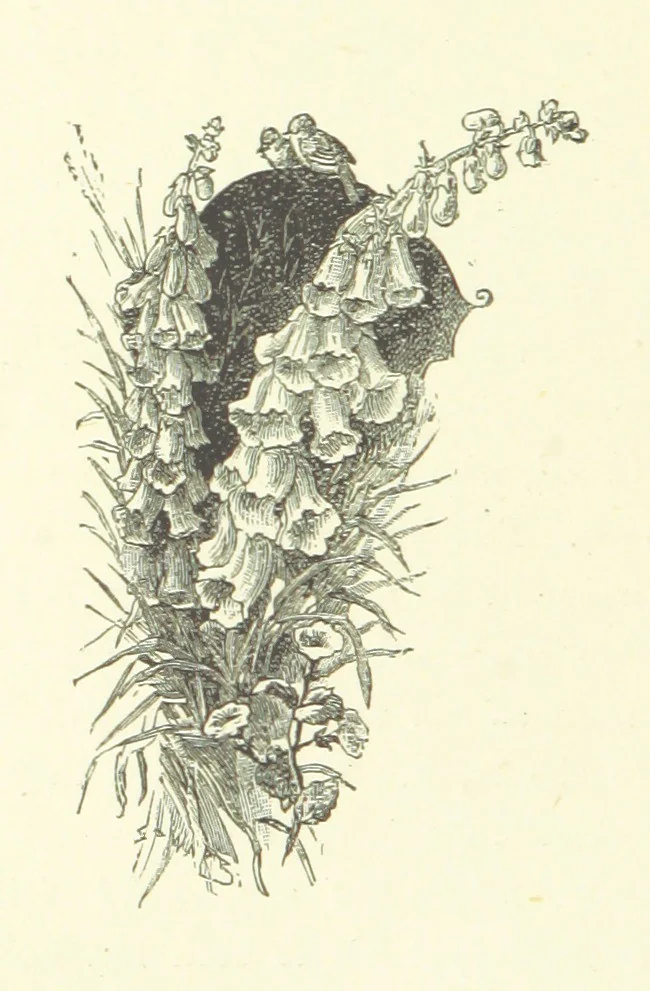 An illustration from In Fellowship; or, the possibilities of influence. [A story.] By the author of “Brotherhood.”, 1890, leaf 132