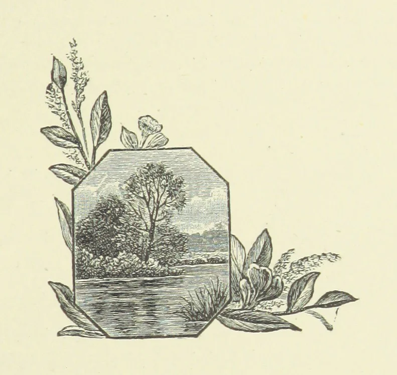 An illustration from In Fellowship; or, the possibilities of influence. [A story.] By the author of “Brotherhood.”, 1890, leaf 147