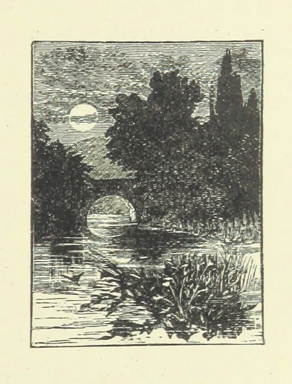 An illustration from In Fellowship; or, the possibilities of influence. [A story.] By the author of “Brotherhood.”, 1890, leaf 217