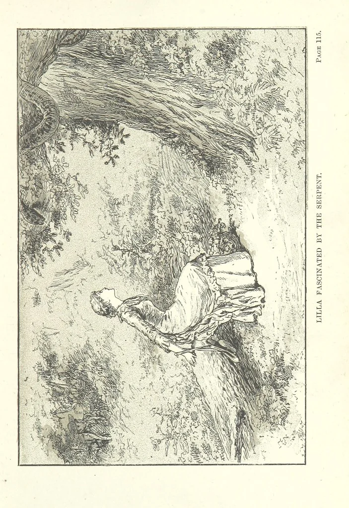 An illustration from The Golden Magnet: a tale of the Land of the Incas, etc, 1884, leaf 127