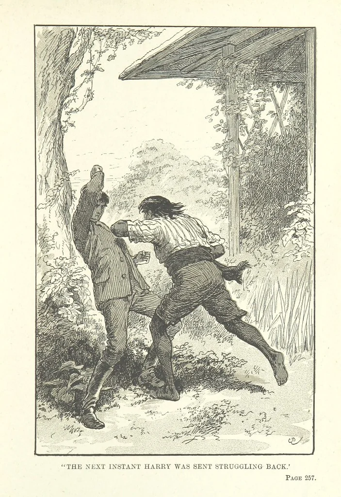 An illustration from The Golden Magnet: a tale of the Land of the Incas, etc, 1884, leaf 275