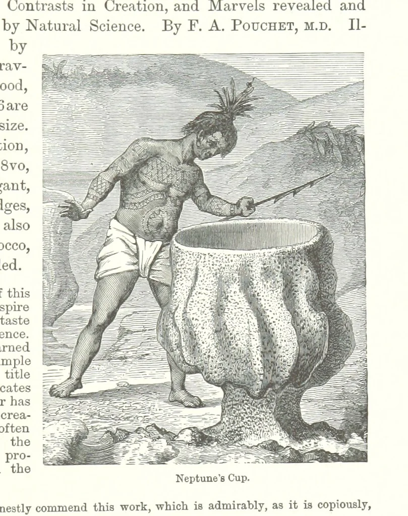 An illustration from The Golden Magnet: a tale of the Land of the Incas, etc, 1884, leaf 413