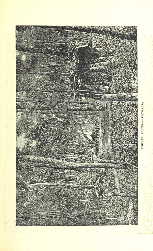 An illustration from The Experiences of a Forty-niner during thirty-four years residence in California and Australia ... Edited by Frederick T. Wallace, 1888, leaf 293