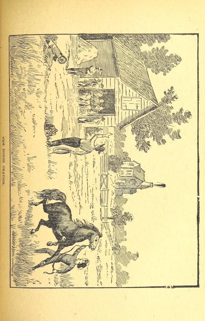 An illustration from The Experiences of a Forty-niner during thirty-four years residence in California and Australia ... Edited by Frederick T. Wallace, 1888, leaf 409