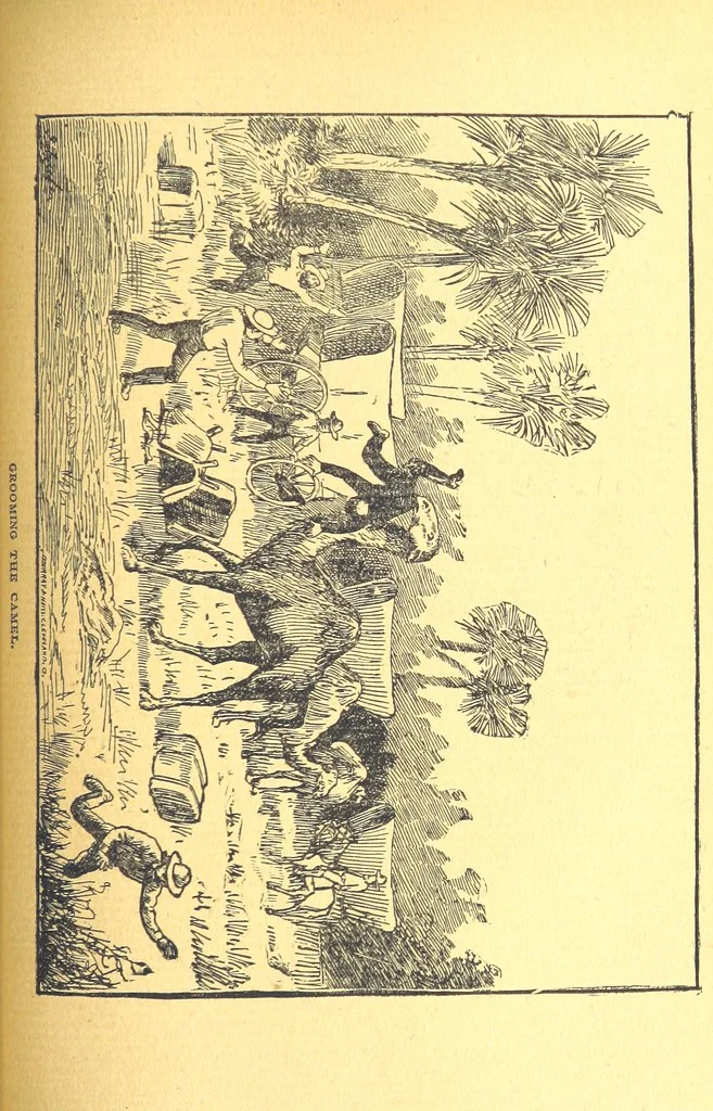 An illustration from The Experiences of a Forty-niner during thirty-four years residence in California and Australia ... Edited by Frederick T. Wallace, 1888, leaf 431