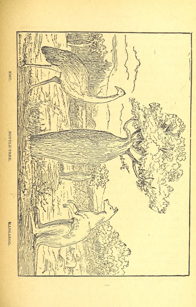 An illustration from The Experiences of a Forty-niner during thirty-four years residence in California and Australia ... Edited by Frederick T. Wallace, 1888, leaf 469
