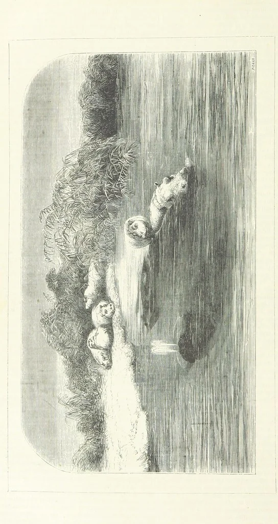 An illustration from Nuevo Viajero Universal, enciclopedia de viajes modernos, recopilacion de las obras mas notables sobre descubrimientos, exploraciones y aventuras, publicada por los mas célebres viajeros del siglo XIX. ... adornada con profusion de mapas, láminas sueltas y grabados, etc, 1859, leaf 122