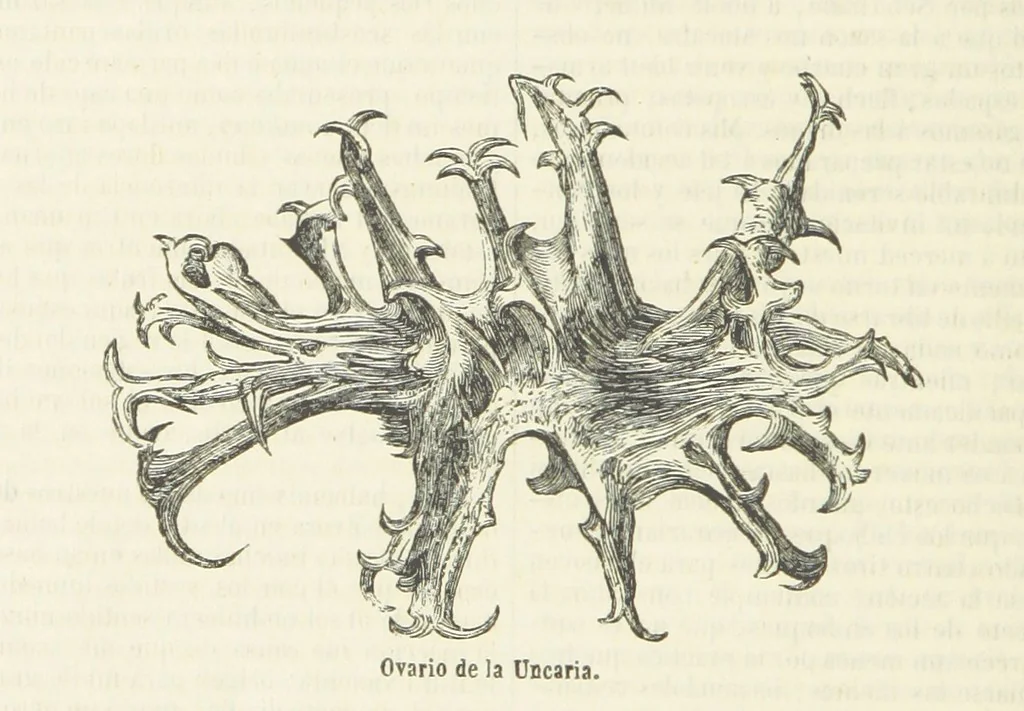 An illustration from Nuevo Viajero Universal, enciclopedia de viajes modernos, recopilacion de las obras mas notables sobre descubrimientos, exploraciones y aventuras, publicada por los mas célebres viajeros del siglo XIX. ... adornada con profusion de mapas, láminas sueltas y grabados, etc, 1859, leaf 154