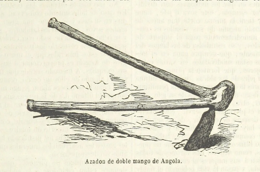 An illustration from Nuevo Viajero Universal, enciclopedia de viajes modernos, recopilacion de las obras mas notables sobre descubrimientos, exploraciones y aventuras, publicada por los mas célebres viajeros del siglo XIX. ... adornada con profusion de mapas, láminas sueltas y grabados, etc, 1859, leaf 177