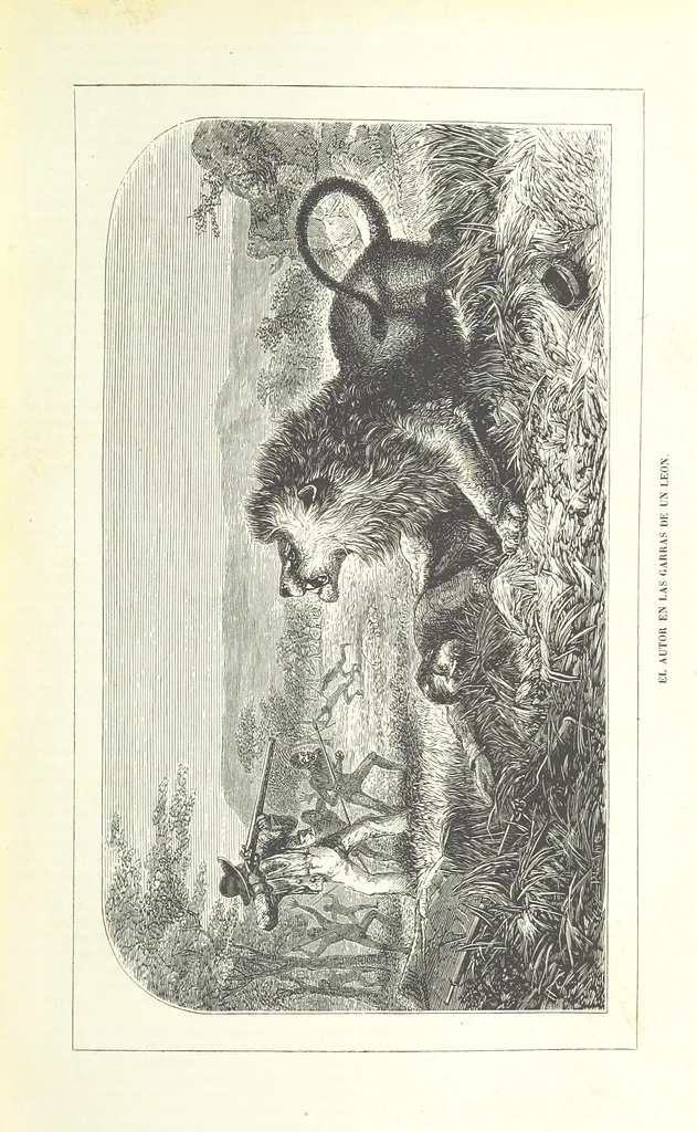 An illustration from Nuevo Viajero Universal, enciclopedia de viajes modernos, recopilacion de las obras mas notables sobre descubrimientos, exploraciones y aventuras, publicada por los mas célebres viajeros del siglo XIX. ... adornada con profusion de mapas, láminas sueltas y grabados, etc, 1859, leaf 19