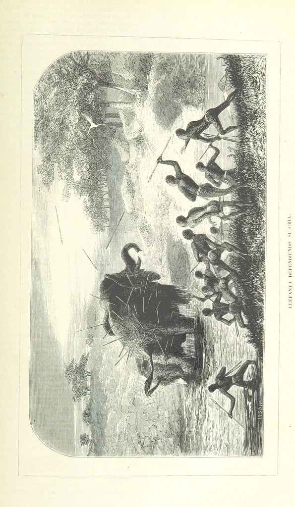 An illustration from Nuevo Viajero Universal, enciclopedia de viajes modernos, recopilacion de las obras mas notables sobre descubrimientos, exploraciones y aventuras, publicada por los mas célebres viajeros del siglo XIX. ... adornada con profusion de mapas, láminas sueltas y grabados, etc, 1859, leaf 223
