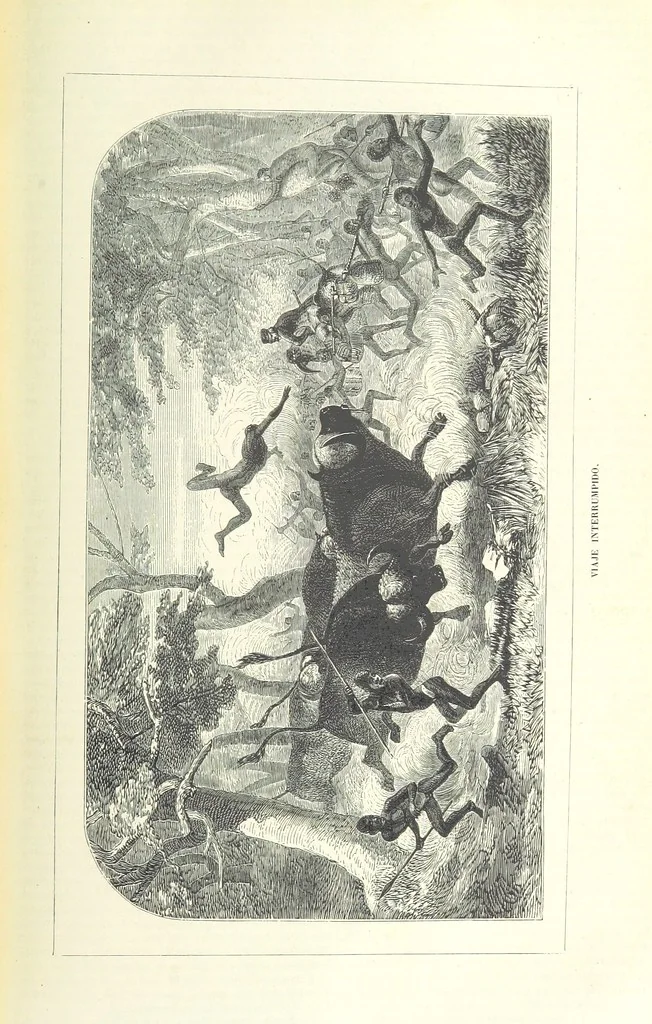 An illustration from Nuevo Viajero Universal, enciclopedia de viajes modernos, recopilacion de las obras mas notables sobre descubrimientos, exploraciones y aventuras, publicada por los mas célebres viajeros del siglo XIX. ... adornada con profusion de mapas, láminas sueltas y grabados, etc, 1859, leaf 233