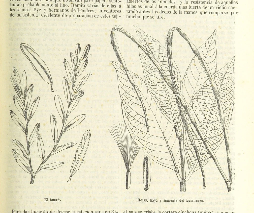An illustration from Nuevo Viajero Universal, enciclopedia de viajes modernos, recopilacion de las obras mas notables sobre descubrimientos, exploraciones y aventuras, publicada por los mas célebres viajeros del siglo XIX. ... adornada con profusion de mapas, láminas sueltas y grabados, etc, 1859, leaf 251