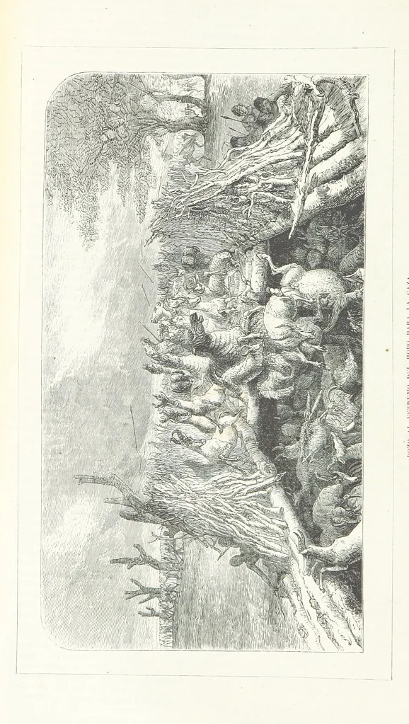 An illustration from Nuevo Viajero Universal, enciclopedia de viajes modernos, recopilacion de las obras mas notables sobre descubrimientos, exploraciones y aventuras, publicada por los mas célebres viajeros del siglo XIX. ... adornada con profusion de mapas, láminas sueltas y grabados, etc, 1859, leaf 26