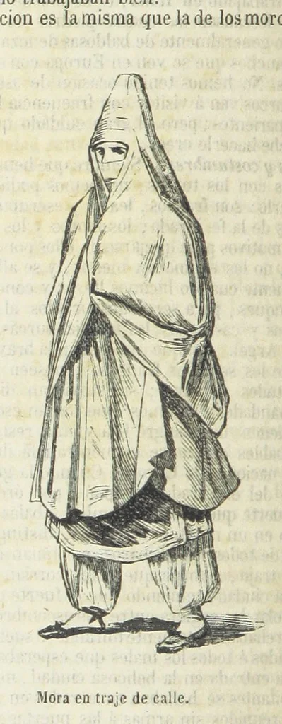 An illustration from Nuevo Viajero Universal, enciclopedia de viajes modernos, recopilacion de las obras mas notables sobre descubrimientos, exploraciones y aventuras, publicada por los mas célebres viajeros del siglo XIX. ... adornada con profusion de mapas, láminas sueltas y grabados, etc, 1859, leaf 510