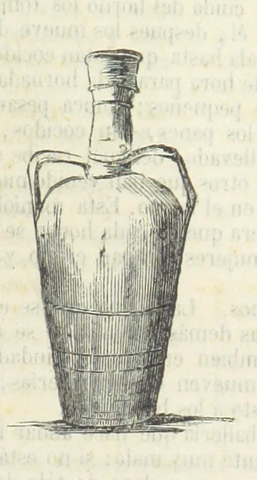 An illustration from Nuevo Viajero Universal, enciclopedia de viajes modernos, recopilacion de las obras mas notables sobre descubrimientos, exploraciones y aventuras, publicada por los mas célebres viajeros del siglo XIX. ... adornada con profusion de mapas, láminas sueltas y grabados, etc, 1859, leaf 533