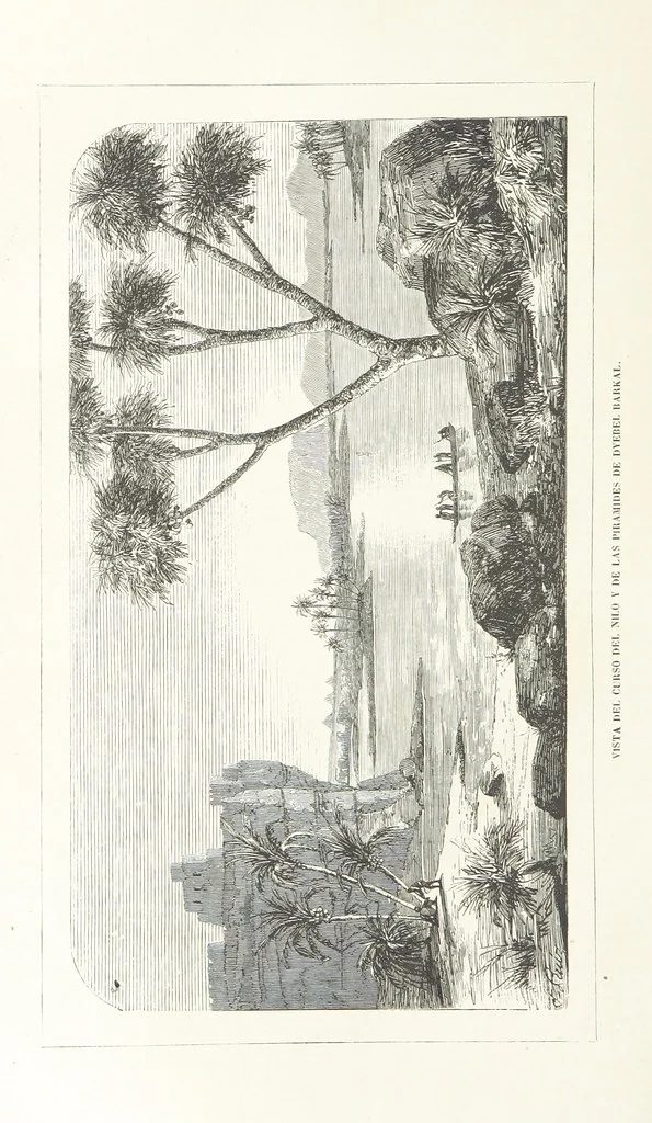 An illustration from Nuevo Viajero Universal, enciclopedia de viajes modernos, recopilacion de las obras mas notables sobre descubrimientos, exploraciones y aventuras, publicada por los mas célebres viajeros del siglo XIX. ... adornada con profusion de mapas, láminas sueltas y grabados, etc, 1859, leaf 700