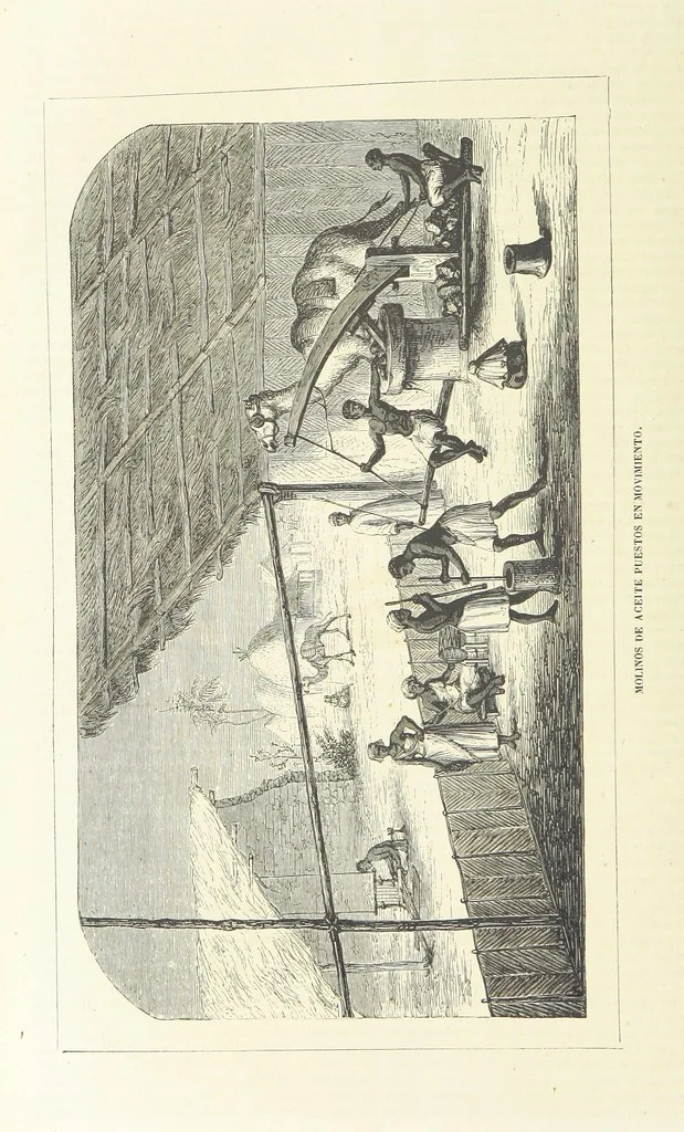 An illustration from Nuevo Viajero Universal, enciclopedia de viajes modernos, recopilacion de las obras mas notables sobre descubrimientos, exploraciones y aventuras, publicada por los mas célebres viajeros del siglo XIX. ... adornada con profusion de mapas, láminas sueltas y grabados, etc, 1859, leaf 904