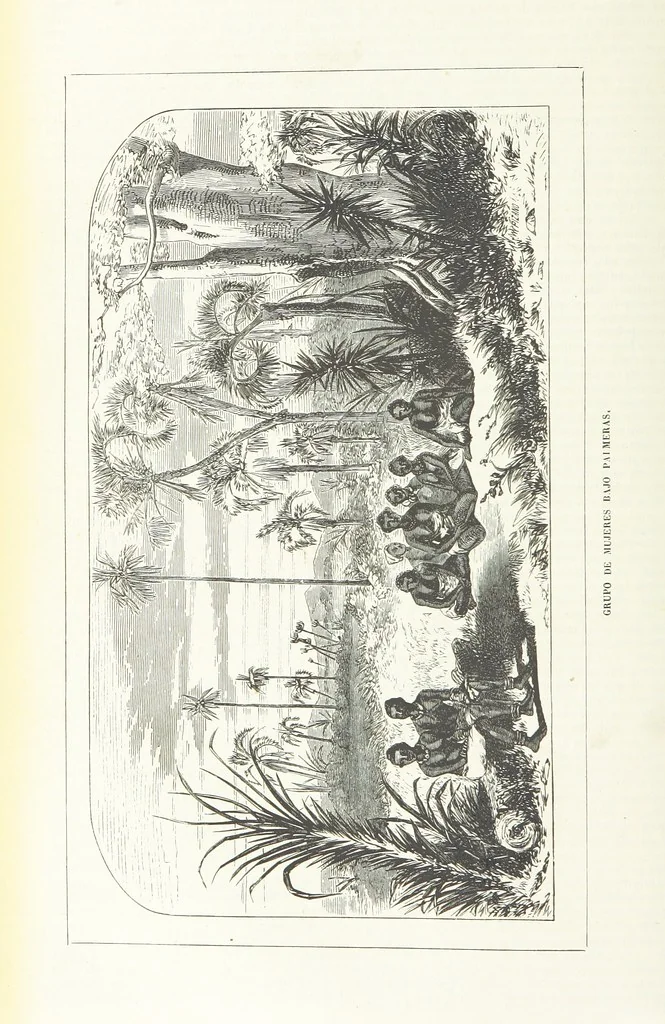 An illustration from Nuevo Viajero Universal, enciclopedia de viajes modernos, recopilacion de las obras mas notables sobre descubrimientos, exploraciones y aventuras, publicada por los mas célebres viajeros del siglo XIX. ... adornada con profusion de mapas, láminas sueltas y grabados, etc, 1859, leaf 94