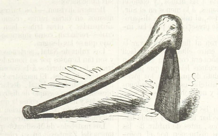 An illustration from Nuevo Viajero Universal, enciclopedia de viajes modernos, recopilacion de las obras mas notables sobre descubrimientos, exploraciones y aventuras, publicada por los mas célebres viajeros del siglo XIX. ... adornada con profusion de mapas, láminas sueltas y grabados, etc, 1859, leaf 99