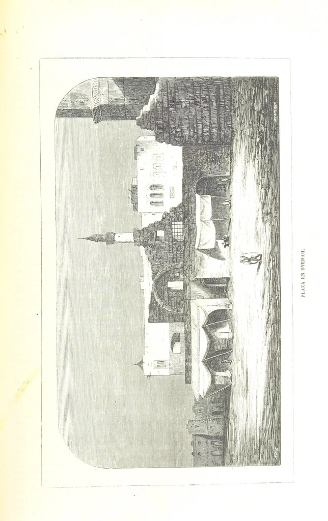 An illustration from Nuevo Viajero Universal, enciclopedia de viajes modernos, recopilacion de las obras mas notables sobre descubrimientos, exploraciones y aventuras, publicada por los mas célebres viajeros del siglo XIX. ... adornada con profusion de mapas, láminas sueltas y grabados, etc, 1859, leaf 465