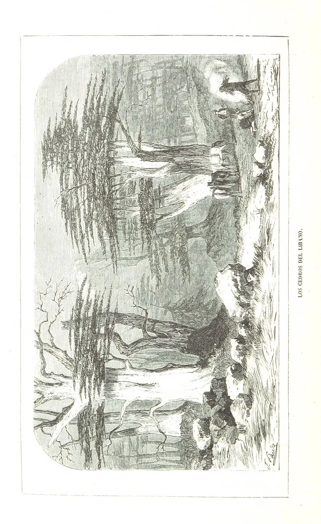 An illustration from Nuevo Viajero Universal, enciclopedia de viajes modernos, recopilacion de las obras mas notables sobre descubrimientos, exploraciones y aventuras, publicada por los mas célebres viajeros del siglo XIX. ... adornada con profusion de mapas, láminas sueltas y grabados, etc, 1859, leaf 616