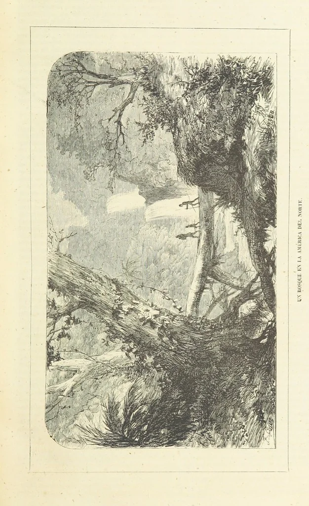 An illustration from Nuevo Viajero Universal, enciclopedia de viajes modernos, recopilacion de las obras mas notables sobre descubrimientos, exploraciones y aventuras, publicada por los mas célebres viajeros del siglo XIX. ... adornada con profusion de mapas, láminas sueltas y grabados, etc, 1859, leaf 17