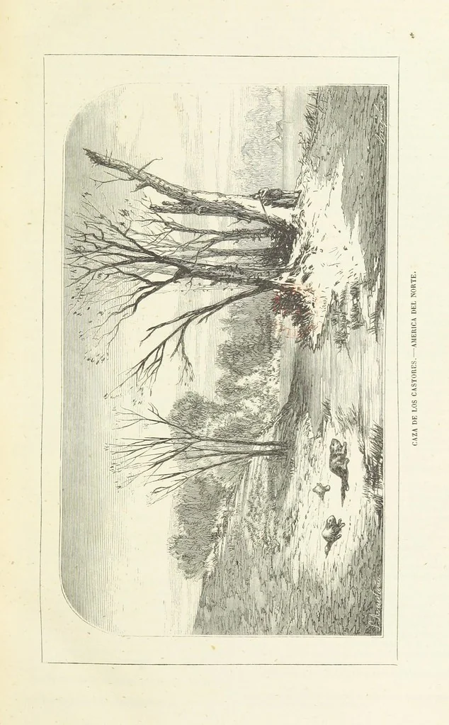 An illustration from Nuevo Viajero Universal, enciclopedia de viajes modernos, recopilacion de las obras mas notables sobre descubrimientos, exploraciones y aventuras, publicada por los mas célebres viajeros del siglo XIX. ... adornada con profusion de mapas, láminas sueltas y grabados, etc, 1859, leaf 27