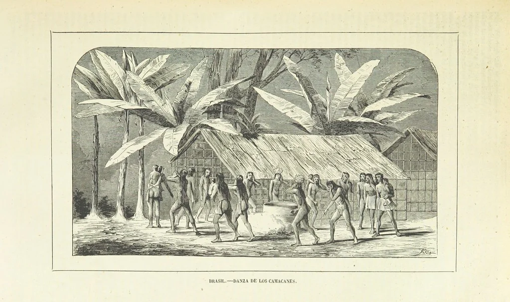 An illustration from Nuevo Viajero Universal, enciclopedia de viajes modernos, recopilacion de las obras mas notables sobre descubrimientos, exploraciones y aventuras, publicada por los mas célebres viajeros del siglo XIX. ... adornada con profusion de mapas, láminas sueltas y grabados, etc, 1859, leaf 503