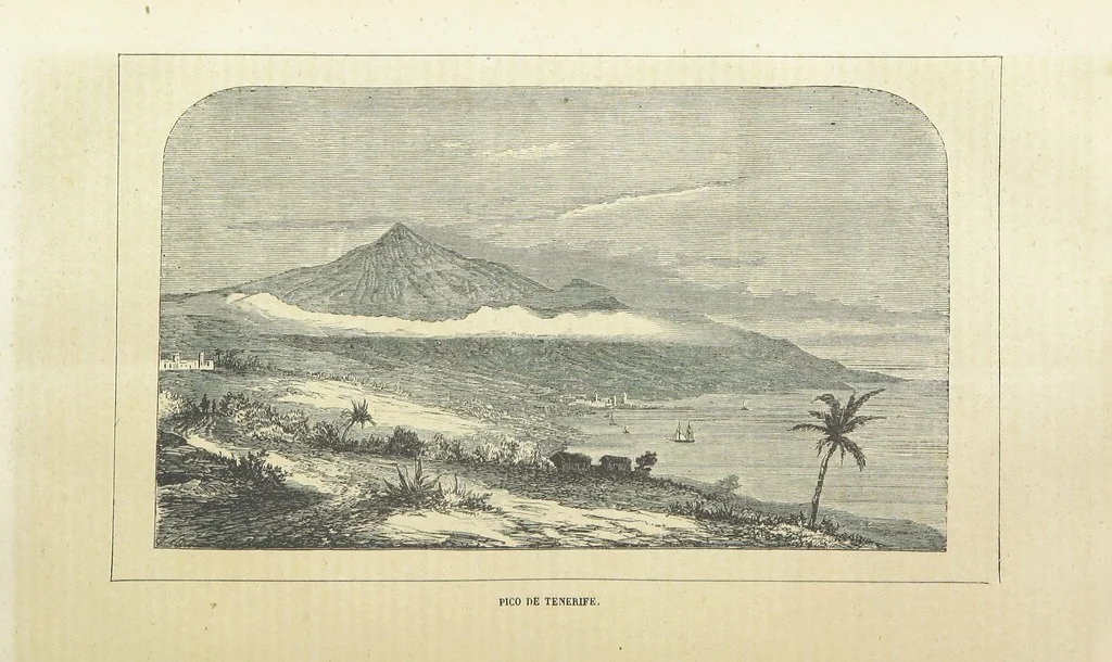 An illustration from Nuevo Viajero Universal, enciclopedia de viajes modernos, recopilacion de las obras mas notables sobre descubrimientos, exploraciones y aventuras, publicada por los mas célebres viajeros del siglo XIX. ... adornada con profusion de mapas, láminas sueltas y grabados, etc, 1859, leaf 708