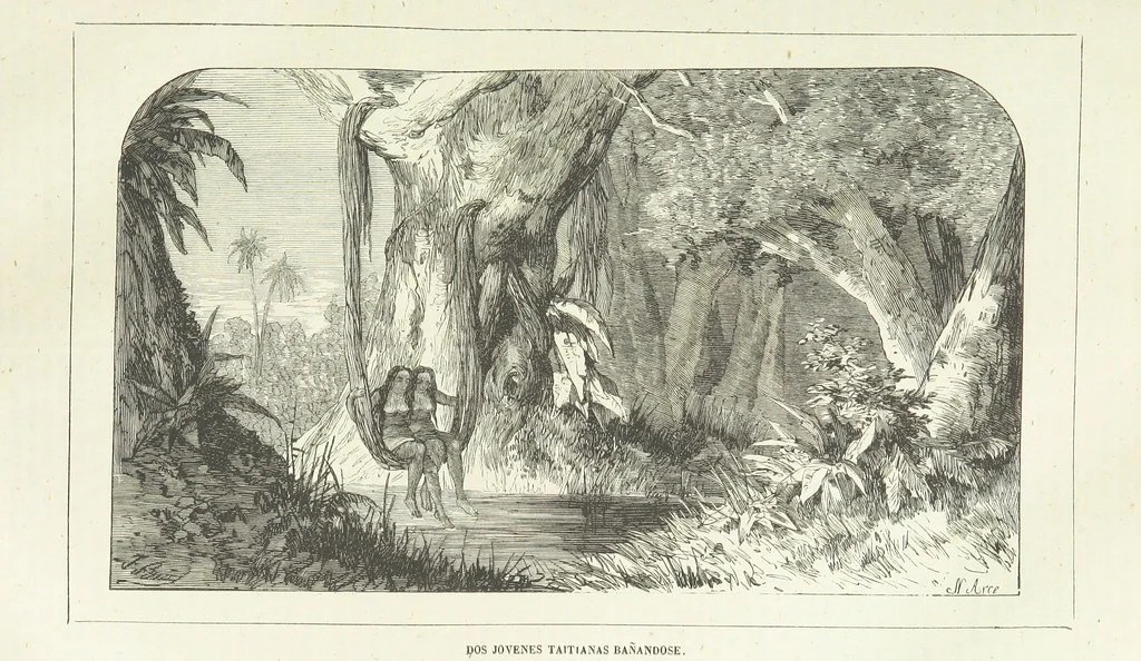 An illustration from Nuevo Viajero Universal, enciclopedia de viajes modernos, recopilacion de las obras mas notables sobre descubrimientos, exploraciones y aventuras, publicada por los mas célebres viajeros del siglo XIX. ... adornada con profusion de mapas, láminas sueltas y grabados, etc, 1859, leaf 203