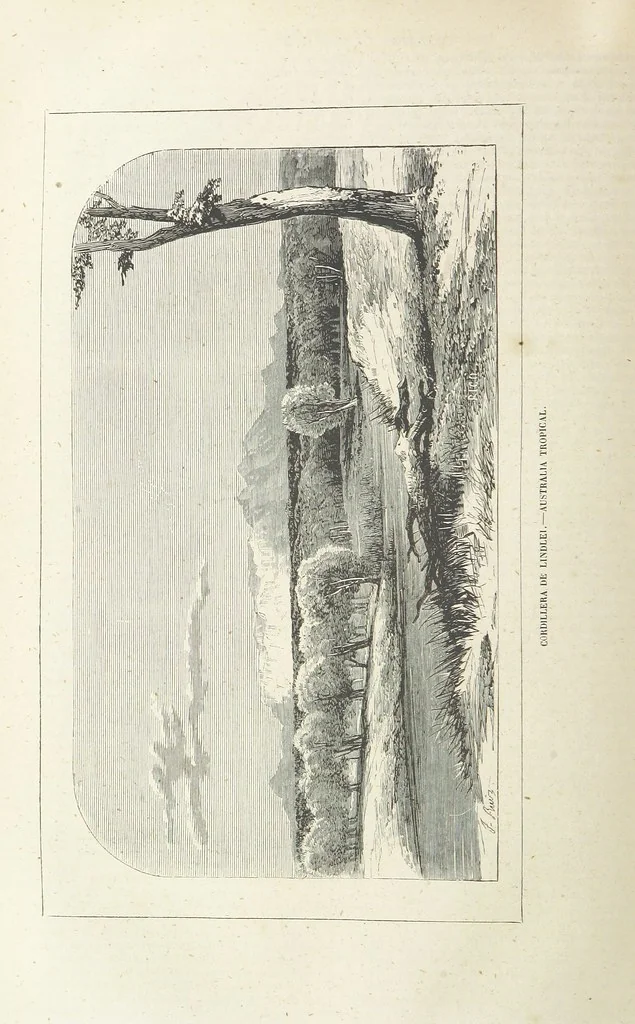 An illustration from Nuevo Viajero Universal, enciclopedia de viajes modernos, recopilacion de las obras mas notables sobre descubrimientos, exploraciones y aventuras, publicada por los mas célebres viajeros del siglo XIX. ... adornada con profusion de mapas, láminas sueltas y grabados, etc, 1859, leaf 520
