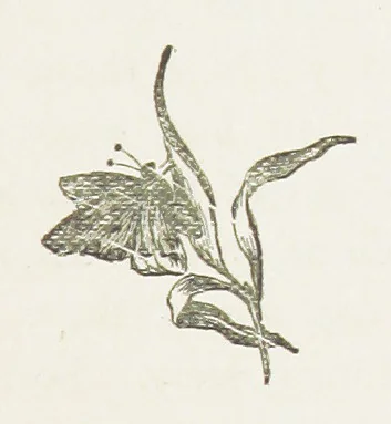 An illustration from In Glenoran. [A Novel, 1888, leaf 163
