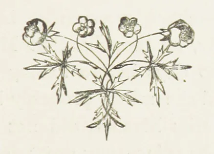 An illustration from In Glenoran. [A Novel, 1888, leaf 79