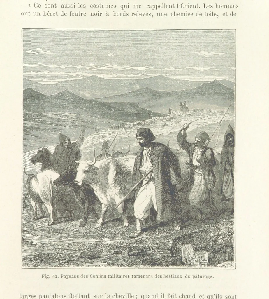 An illustration from Les Races Humaines ... Ouvrage illustré de 334 gravures dessinées sur bois, et de 8 chromo-lithographies, etc, 1872, leaf 155
