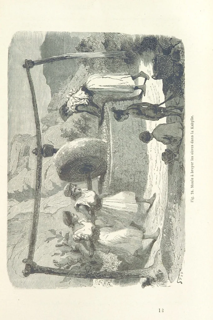 An illustration from Les Races Humaines ... Ouvrage illustré de 334 gravures dessinées sur bois, et de 8 chromo-lithographies, etc, 1872, leaf 191