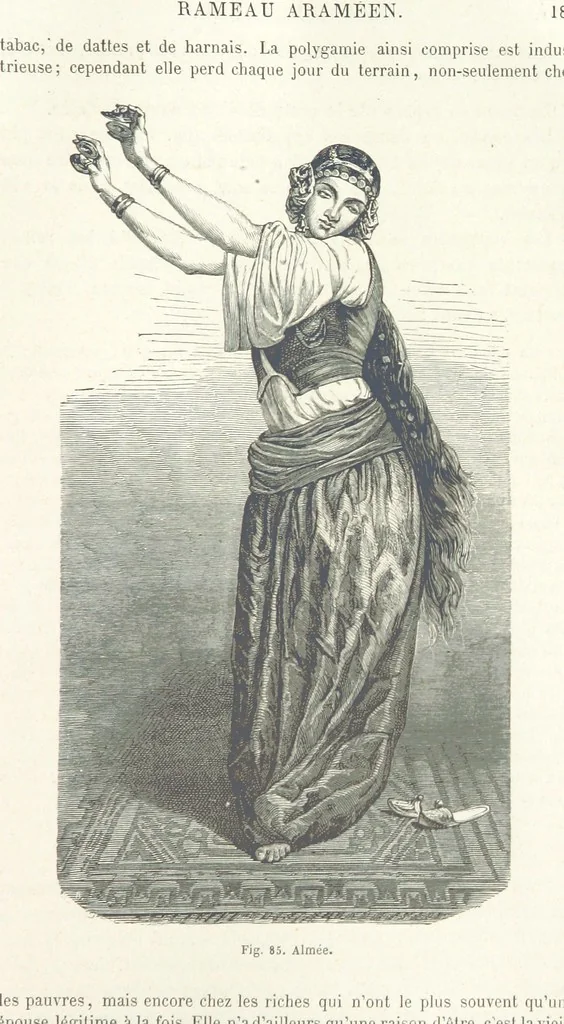 An illustration from Les Races Humaines ... Ouvrage illustré de 334 gravures dessinées sur bois, et de 8 chromo-lithographies, etc, 1872, leaf 203