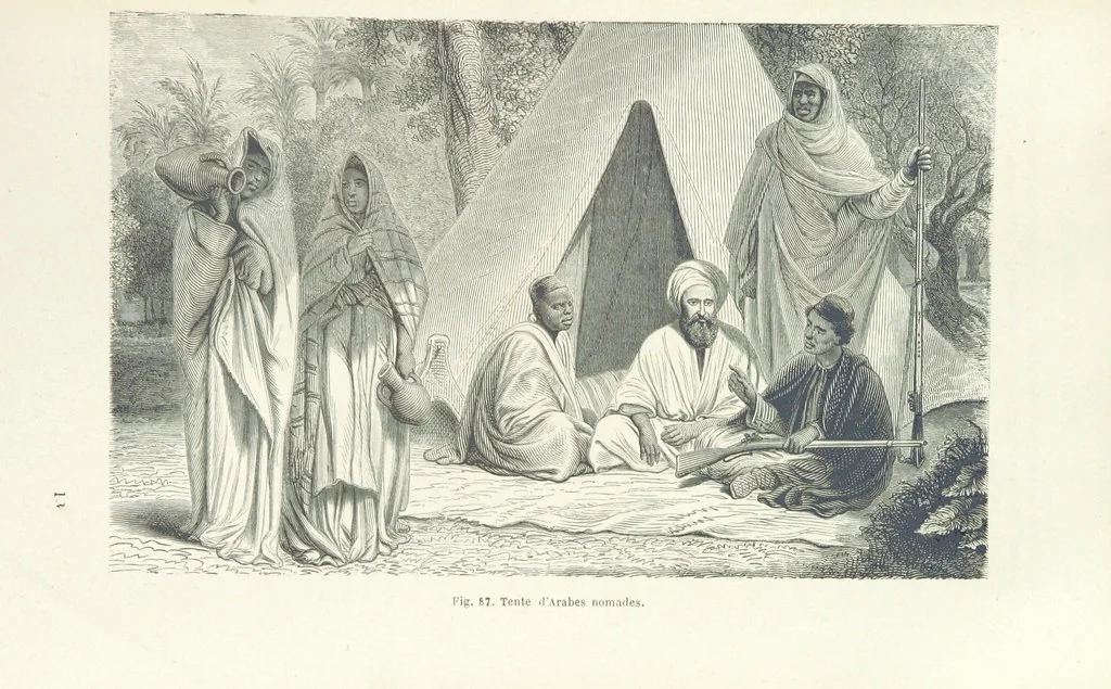 An illustration from Les Races Humaines ... Ouvrage illustré de 334 gravures dessinées sur bois, et de 8 chromo-lithographies, etc, 1872, leaf 207