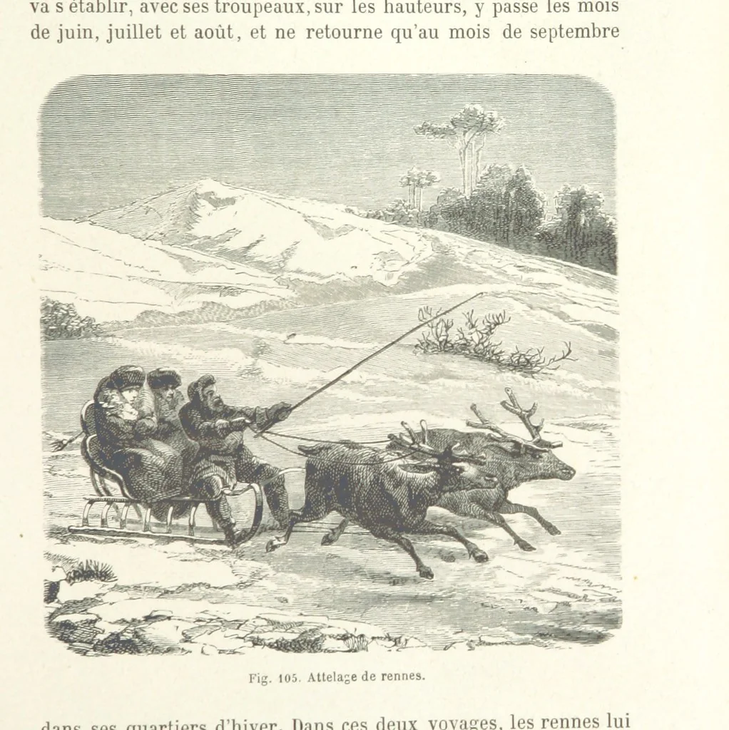 An illustration from Les Races Humaines ... Ouvrage illustré de 334 gravures dessinées sur bois, et de 8 chromo-lithographies, etc, 1872, leaf 245
